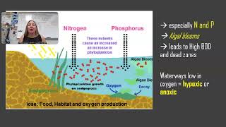 85 Eutrophication [upl. by Eigger]