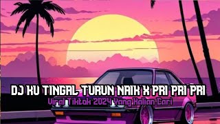 DJ KU TINGAL TURUN NAIK X PRI PRI PRI REMIX VIRAL TIKTOK TERBARU 2024 [upl. by Olwena629]