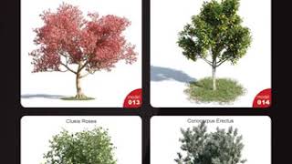 Download Evermotion – Archmodels Vol 154  plants and trees [upl. by Lecram]