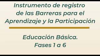 Instrumento de registro para las barreras para el aprendizaje y la participación [upl. by Annaiviv]