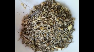 Wormwood Artemisia Absinthium Tea History Banned and Use [upl. by Ymac]