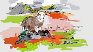 one Herdwick [upl. by Alakcim]