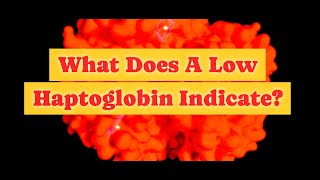 What Does Low Haptoglobin Indicate [upl. by Acinorahs]