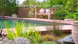 Natural Pools in NZ short  Immerse Yourself in Nature [upl. by Bora]