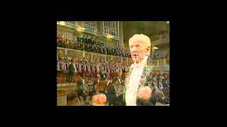 4th Movement  part 2  Ode to Freedom  1989  Leonard Bernstein  Beethovens 9th Symphony HD 720p [upl. by Nodlehs432]