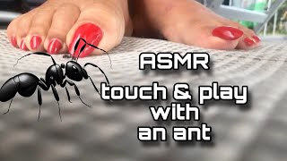 ASMR feet with red nail polish touch and play an ant 🐜 [upl. by Lovel]