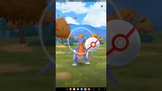 Doing a Gabite raid in pokemongo [upl. by Huang814]