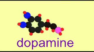 AP1 BRAIN DOPAMINE SYNTHESIS [upl. by Elladine811]