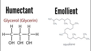 Humectants and Emollients  Know Your Ingredients [upl. by Monafo132]