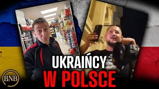 Ci Ukraińcy UPOKARZAJĄ Polskę W Internecie Ciekawy film o życiu [upl. by Federica643]