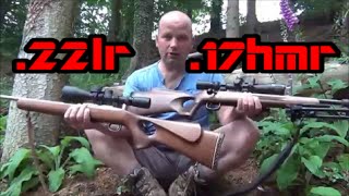 Differences Between 22LR and 17HMR Rifles  Comparing Calibres [upl. by Eleahcim]