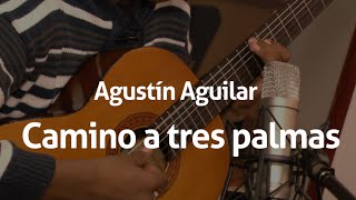 Agustín Aguilar  Camino a Tres Palmas  MusiMedios [upl. by Ellan]