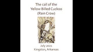 The Call of the Cuckoo [upl. by Kant]