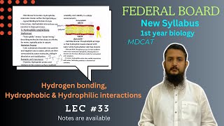 Hydrogen bonding  hydrophobic and hydrophilic interactions  class 11 [upl. by Enitsyrhc965]