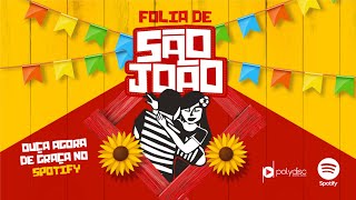 O Melhor São João do Brasil  Festa Junina  Playlist atualizada 2023 [upl. by Ekard]