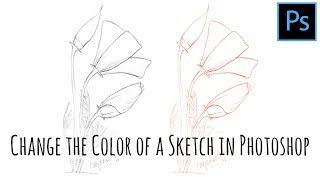 Photoshop  Recolor Line Art  Change the Color of a Sketch [upl. by Lehcnom621]