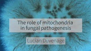 The role of mitochondria in fungal pathogenesis [upl. by Sharon]