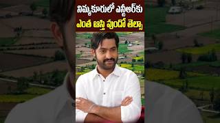 Jr NTR Lands and Net Value in Nimmakuru Village  Jr NTR Grand Fathers Home Town Tollywood Nagaram [upl. by Vaclava69]