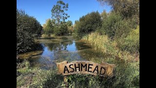 Ashmead introduction [upl. by Jeno]