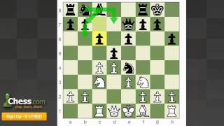 Chess Openings The Queens Gambit Declined [upl. by Rist]