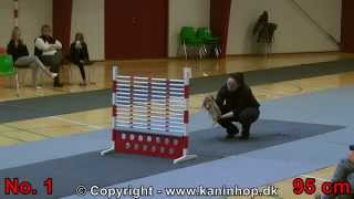 Danish Championships 2014 in Rabbit Hopping  High Jump  TOP 10 [upl. by Gareth]