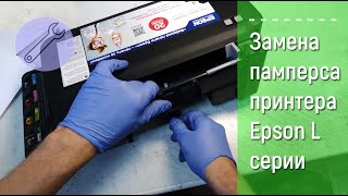 Замена абсорбера чернил памперс принтеры Epson L120 L132 L210 L366 L350 L456 [upl. by Teferi439]