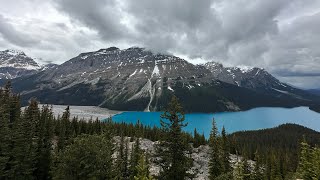 The Stunning Peyto Lake Banff National Park [upl. by Krock44]