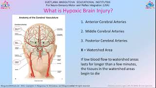 MNRI® A Spark of Hope for Hypoxic Brain Injuries [upl. by Mallissa]