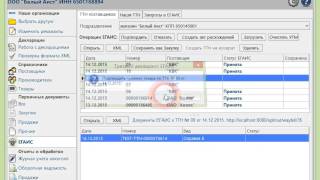 Работа с ЕГАИС в Трезвом Декларанте [upl. by Karwan]