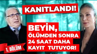 KANITLANDI‼️ BEYİN ölümden sonra 24 saat daha kayıt tutuyor‼️ [upl. by Adah]