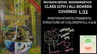 L11 REVISION SERIESBIOENERGETICS CLASS 11TH ALL BOARDS COVERED NMDCAT2024 AKU2024 NUMS2024 [upl. by Acihsay]