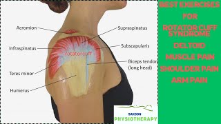 BEST EXERCISES FOR ROTATOR CUFF SYNDROMESHOULDERDELTOID MUSCLE 💪 PAIN at homeSakoonPhysiotherapy [upl. by Cointon]