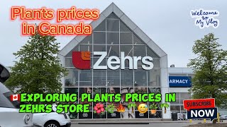 🇨🇦 Exploring Zehrs Garden Center  Plant Prices in Canada  Flower and plants prices [upl. by Ydarb]