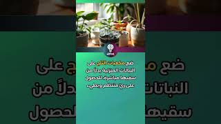 هل تعلم؟ مكعبات الثلج أفضل طريقة لري النباتات المنزلية [upl. by Tezile]