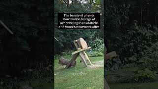 The beauty of physics  phyiscs science youtubeshorts [upl. by Burkley982]