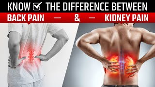 Know the difference between Back Pain and Kidney Pain  Dr Pragti Gupta [upl. by Kellie]