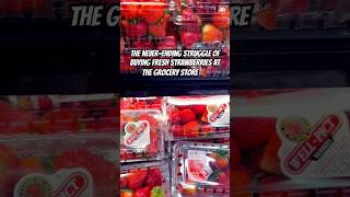 Buying strawberries at the grocery store be like 😱🍓🍓🍓 strawberries comedy funnyshorts [upl. by Delahk]