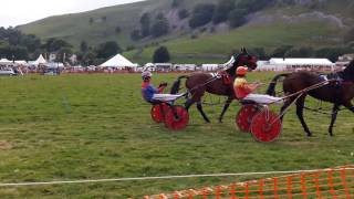 Kilnsey Show Harness Racing 16 [upl. by Belac]