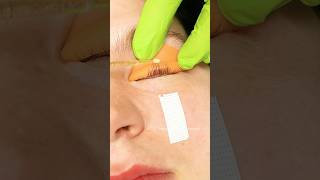 Lash lift tutorial shortsyoutubeshortsyoutubcreator beautifulbeautylashes eyelashestutorial [upl. by Wycoff]