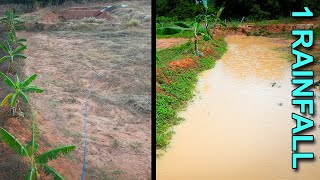 BEST Water Harvesting System for Your Homes Water Needs [upl. by Yztim511]