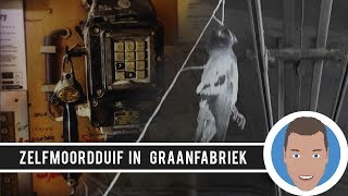 ZELFMOORDduif in verlaten GRAANFABRIEK [upl. by Eidur]