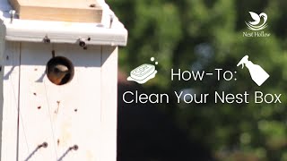 How When And With What To Clean Bird Nest Boxes [upl. by Pammi]