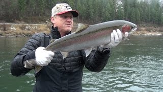 Clearwater River Idaho Steelhead Fishing Side drifting amp back trolling [upl. by Algar]