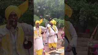 Bhangra performance  chak de phate reels [upl. by Assirek815]