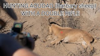 Hunting Aoudad Barbary sheep with a double rifle [upl. by Nrojb]