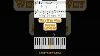 Shawn Mendes  Why Why Why Piano Cover ShawnMendes WhyWhyWhy PianoShorts Tutorial Cover Shawn [upl. by Eberle800]