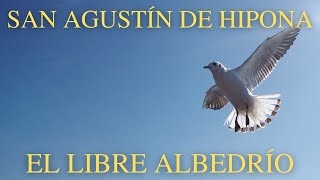 San Agustín de Hipona  El Libre Albedrío [upl. by Drawets]