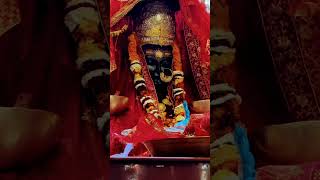 Jai dhari maa🚩❣️🙏 jai maa surkandajai Love🥰🙏 surkandadevi ytvideo ytshorts 🚩🙏🥰😘 [upl. by Ramiah]