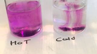 Diffusion of Potassium Permanganate in Hot and Cold Water [upl. by Fregger]