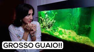 La STORIA del mio ACQUARIO da 100 litri [upl. by Llewop926]